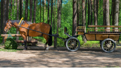 50年代發生的神奇事科學都無法解釋得了(圖)