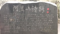 雨中阿里山抒懷(組圖)