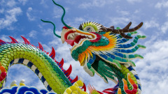 古人说的龙真实存在赵齐嵩乘龙死里逃生(图)