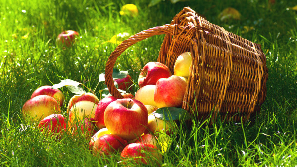 發燒時多補充維生素，吃蘋果等水果有益健康。