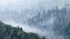 神灵异事十二岁仙童行雨救大旱(图)