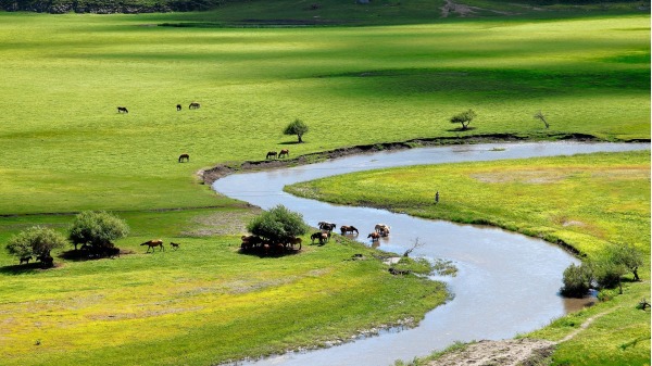 内蒙古草原。