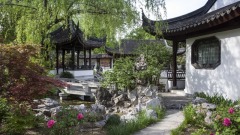 讀完《莊子》10個故事灑脫自在過生活(圖)