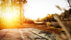 蘇格拉底講述另一個世界的情景(圖)