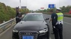 男子开奥迪遛“宝马”网友：有考虑过马的感受吗(组图)