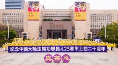四二五20週年臺議員批中共是最爛政權(組圖)
