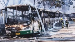 春天裡的一把火：把騙補瞬間燒成灰(組圖)