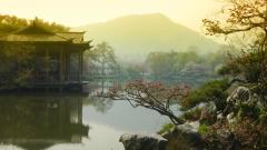 似曾相识或是轮回转世的证据(图)