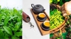 看看再喝饮茶的3个误区你中了几个(组图)