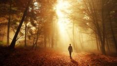 濒死体验揭示了另外时空的存在(图)