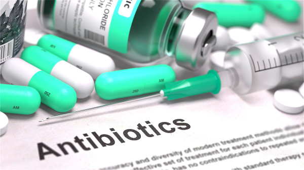 抗生素对肠道的杀伤力非常大，它会重挫肠道菌相的平衡。