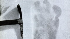 印度陸軍稱發現「雪怪」足跡網友這樣回應(圖)