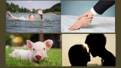 一举之善抵罪业与人私通妻遭罪(图)