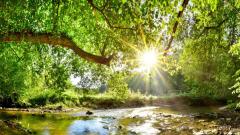 科学研究如何看“善恶有报”(图)