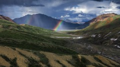 美国流通纪念币中的人文常识（十六）(组图)