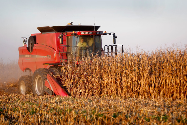 美国农业部长珀杜表示，川普总统已经指示农业部尽快制定一项计划，支持美国农民应对贸易战的影响。