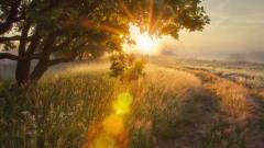 预言中的末劫时期精神运动(图)