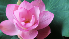看生日尾數可知財運好壞(組圖)