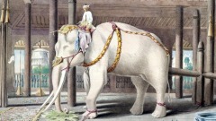 前世怨念發毒誓來世佛前重皈依(圖)