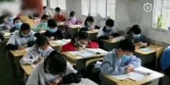 湖南工廠疑排毒大量蜜蜂死亡數百學生離校(圖)