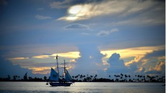 美國流通紀念幣中的人文常識（十七）(組圖)