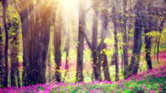 不可思议的死而复生事件搜秘(图)