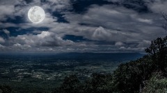 男子离世后突然出现找父母寻仇索命(组图)