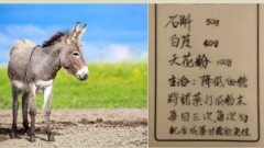 前世受恩来世报答(图)