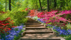 一個娃兒兩個家又當爸爸又當娃(圖)