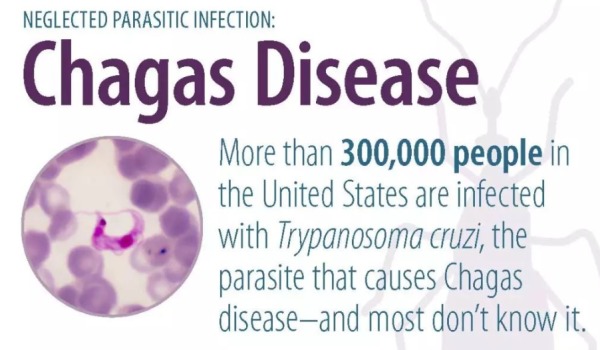 接吻虫入侵北美 美国已蔓延30万人染病