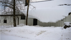 老友伯的传奇故事(图)