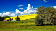 美國流通紀念幣中的人文常識（十四）(組圖)