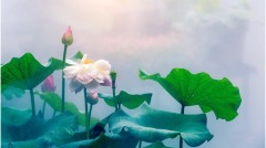 厚道的力量(圖)