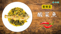 夏季開胃美食你不能錯過的酸菜魚