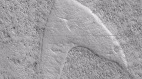 NASA火星發現神秘V形酷似星際艦隊標誌(圖)