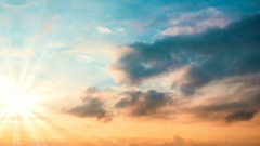 報應有勢理被騙亦有因(圖)