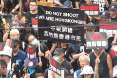 今次不少大陸人也要香港撐住(圖)