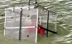 致命魔术男子河里表演“逃生术”后失踪至今……(组图)