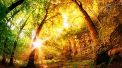 今生贫病的前世因果(图)