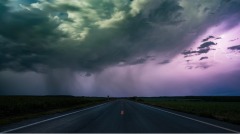 滥杀无辜报应不爽(图)