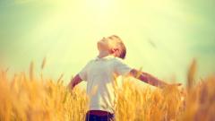 意识独立于大脑的回光返照现象(图)