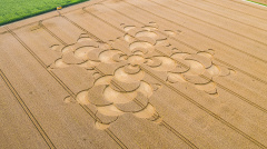 英国警官遇见外星人正在创作麦田圈(图)