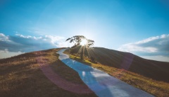 生前遭害离世索债(图)