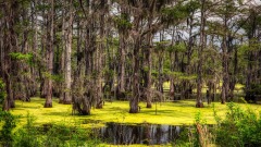 美国国家公园流通纪念币人文常识（二）(组图)