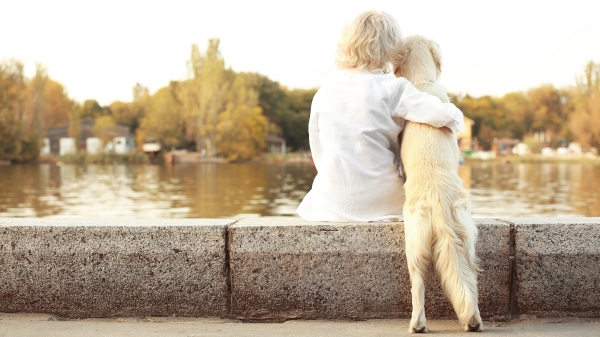 狗狗的“第六感”对一些人的健康甚至生命，确实是个珍贵的礼物。