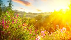 历经灵魂出体生命宛如重生(图)