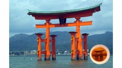 神奇酱油碟倒下酱油也可以像作画(组图)