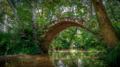 奇一夜之间一座大桥横跨雨湖之上(图)