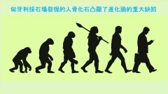 匈牙利发现的人骨化石凸显进化论缺陷(图)