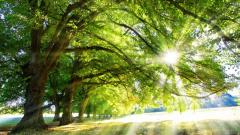 万物都有吉凶信息这些衣服穿不得(图)